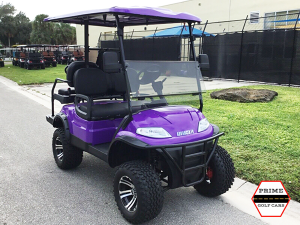 bradenton golf cart rental, golf cart rental, golf cars for rent