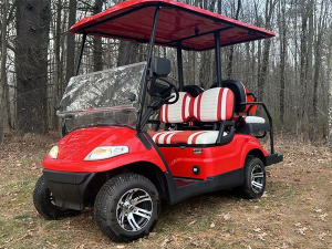 bradenton golf cart rental, golf cart rentals 